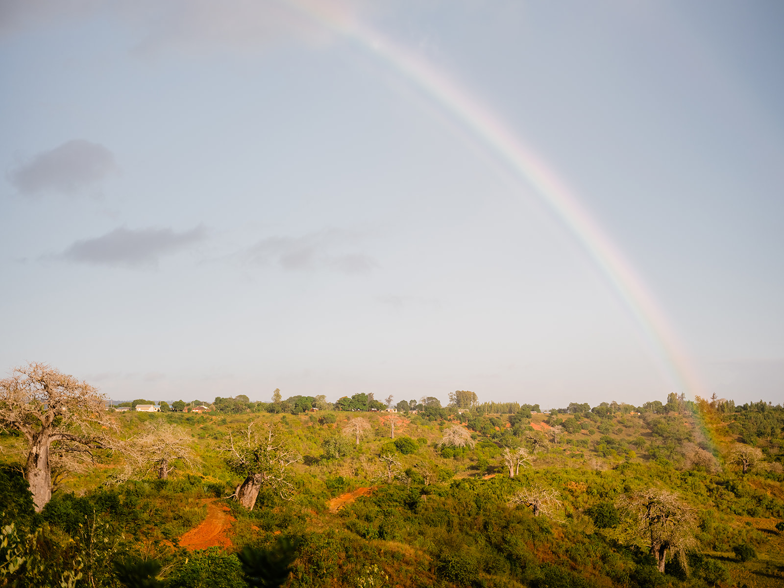 It wasn’t what anyone expected.